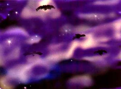 Bats
by Ashley Phillipson
