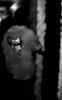 Filename=big_114.jpg
Filesize=5KiB
Dimensions=314x500
Date added=Aug 13, 2004 big_114.jpg