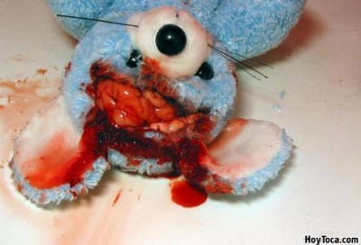 peluche asesinado
Keywords: peluche muerte