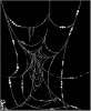 Filename=WebofLife.jpg
Filesize=54KiB
Dimensions=400x485
Date added=Nov 05, 2006 WebofLife.jpg