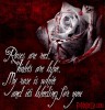 Filename=bleedingrose.jpg
Filesize=59KiB
Dimensions=310x320
Date added=Jul 05, 2008 bleedingrose.jpg