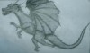 Filename=dragon.JPG
Filesize=108KiB
Dimensions=1499x891
Date added=Apr 02, 2005 dragon.JPG