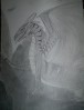 Filename=large dragon.jpg
Filesize=142KiB
Dimensions=695x905
Date added=Nov 01, 2004 large dragon.jpg